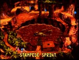 Donkey Kong Country 3 - Stampede Sprint