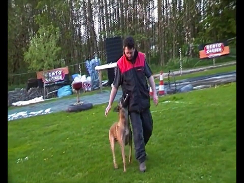 Johan Delie:Mijn film deel 3  Jelle.wmv