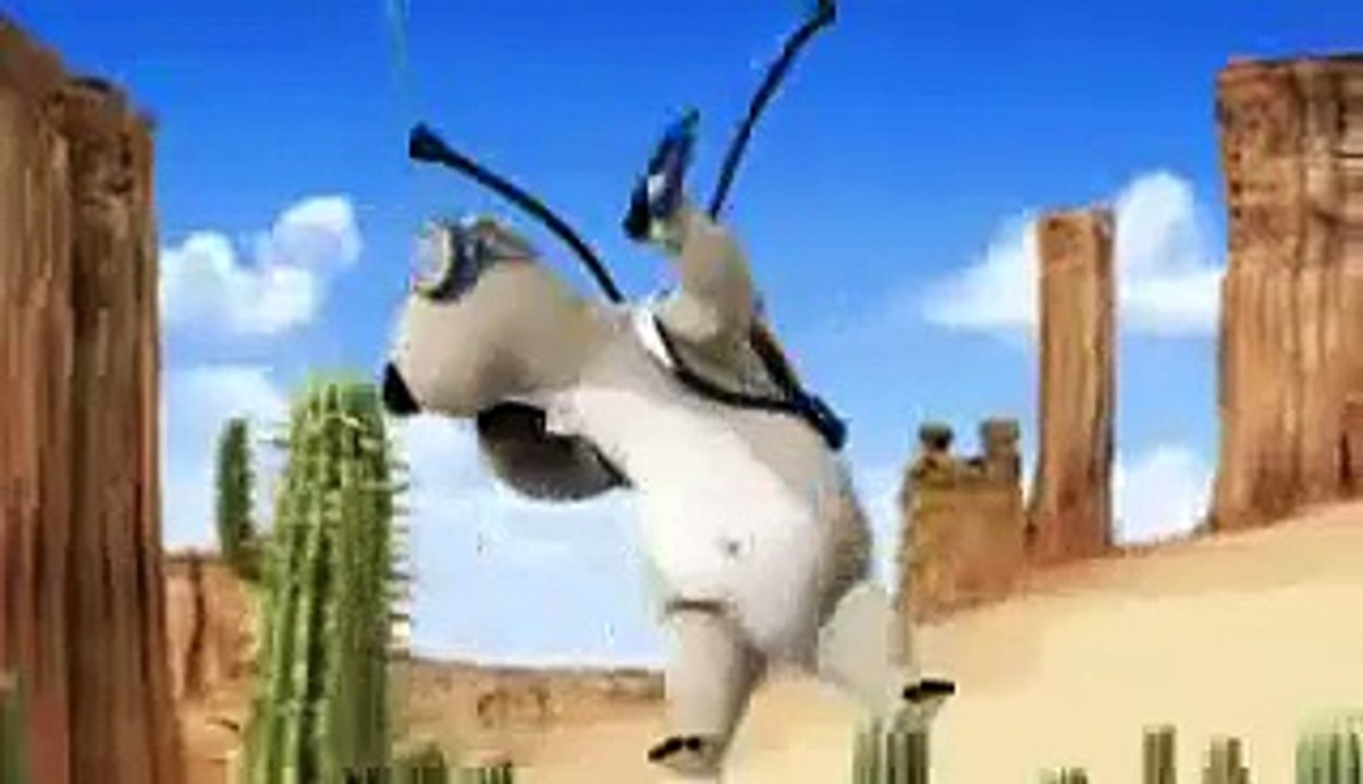 Funny bear animation