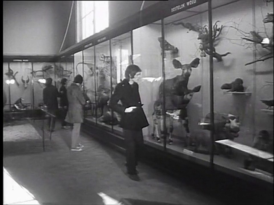 Traffic - Paper Sun (Tienerklanken 21-11-1967)