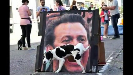 Funny Pictures taken at the right Moment