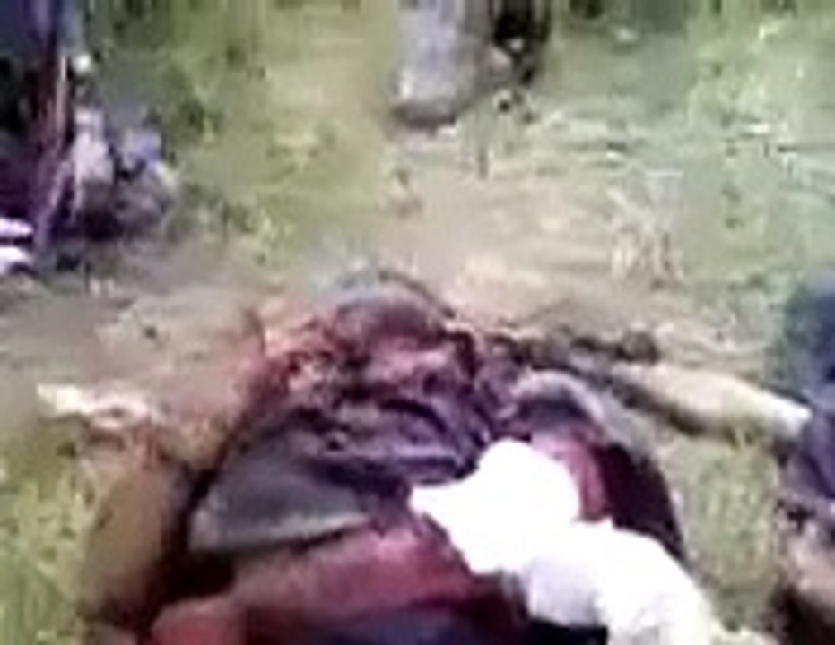 عاجل فيديو حصري :o : الجيش الجزائري يلقي القبض على احد الارهابيين الجبناء حيا :o اسمعوا شنوا يقول ...