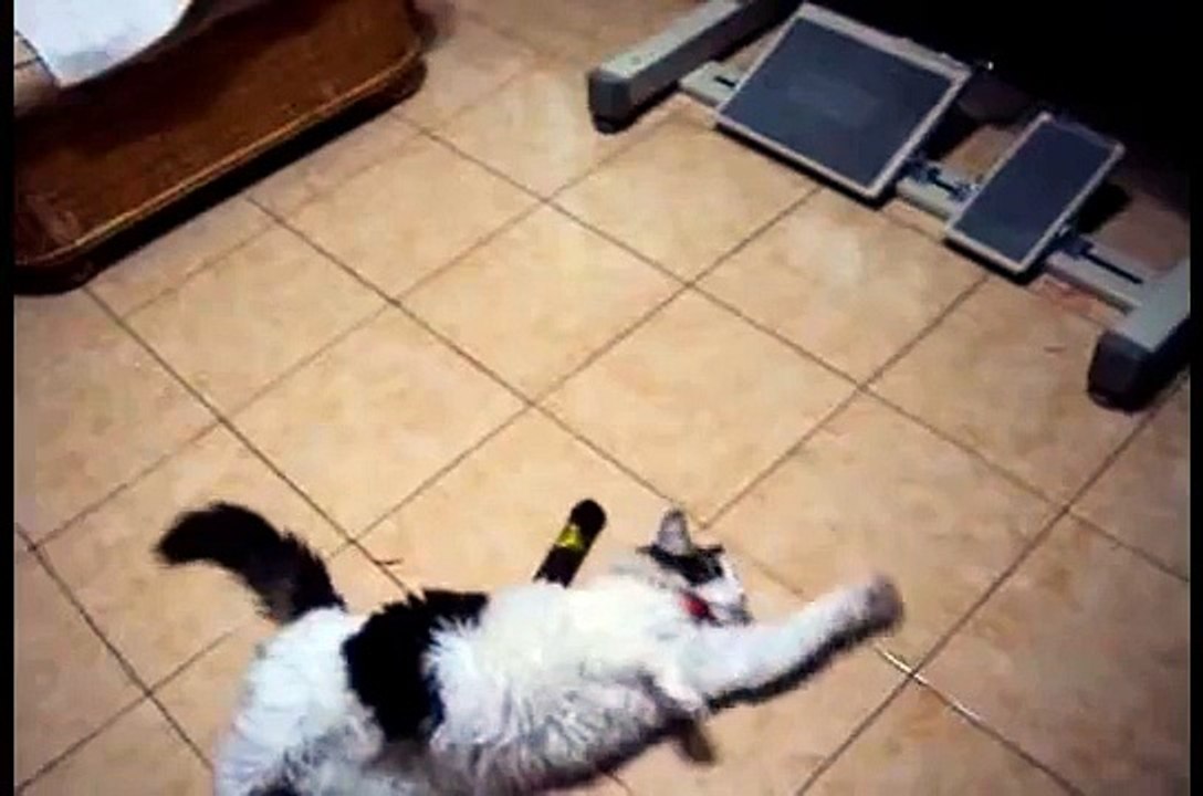 Kitty Michita enjoys cigar catnip toy