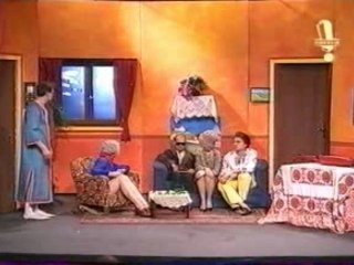 les robins des bois - L'aspi-chat