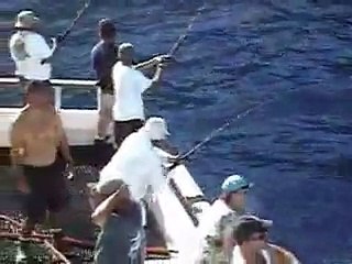 Yellowfin tuna fishing on the Excel in Mexico