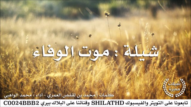 شيلة : موت الوفاء - أداء محمد الواهبي | أصلي + مسرع | #شيلات #صوتيات