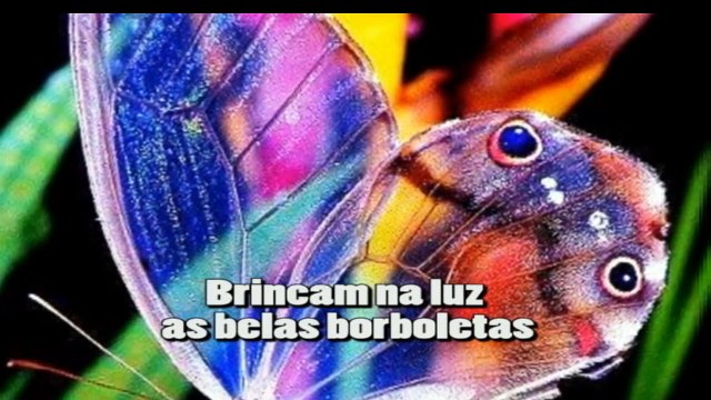 AS BORBOLETAS - CECILIA MEIRELLES