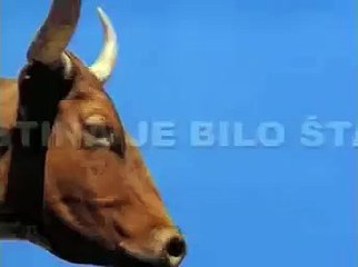 Nikad izvini - Dosije X