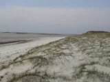 Dunes de Ste Marguerite