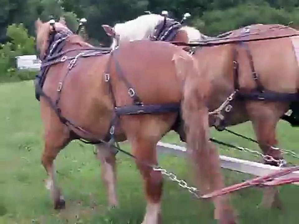 Horse-Drawn Round Bale Mover