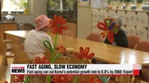 Aging population to cut Korea's growth rate to 0.8% by 2060: Expert