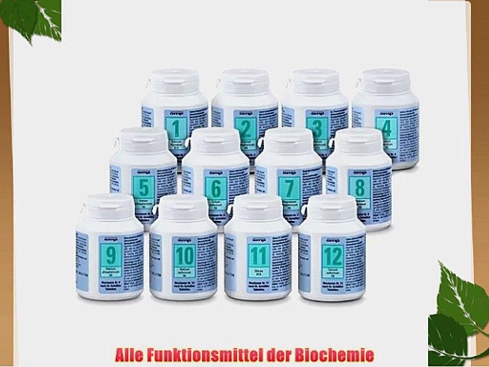 Schuessler Salze Set Nr. 1-12 je 400 Tabl Biochemie glutenfrei   Tablettenbox gratis