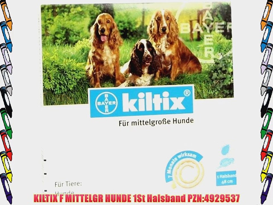 KILTIX F MITTELGR HUNDE 1St Halsband PZN:4929537