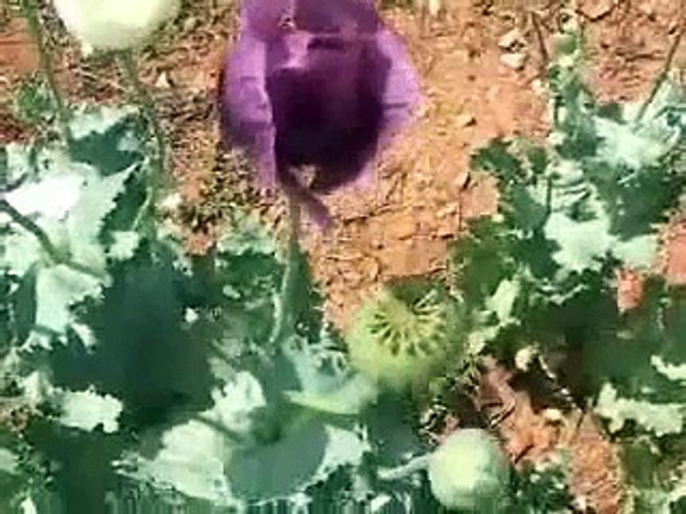 Kızılören Afyonkarahisar