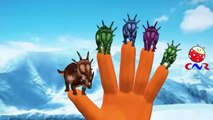 Finger Family Nursery Rhymes for Children Animals Cartoon | Finger Family Rhymes for Babies