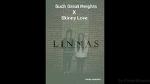 Such Great Heights x Skinny Love cover