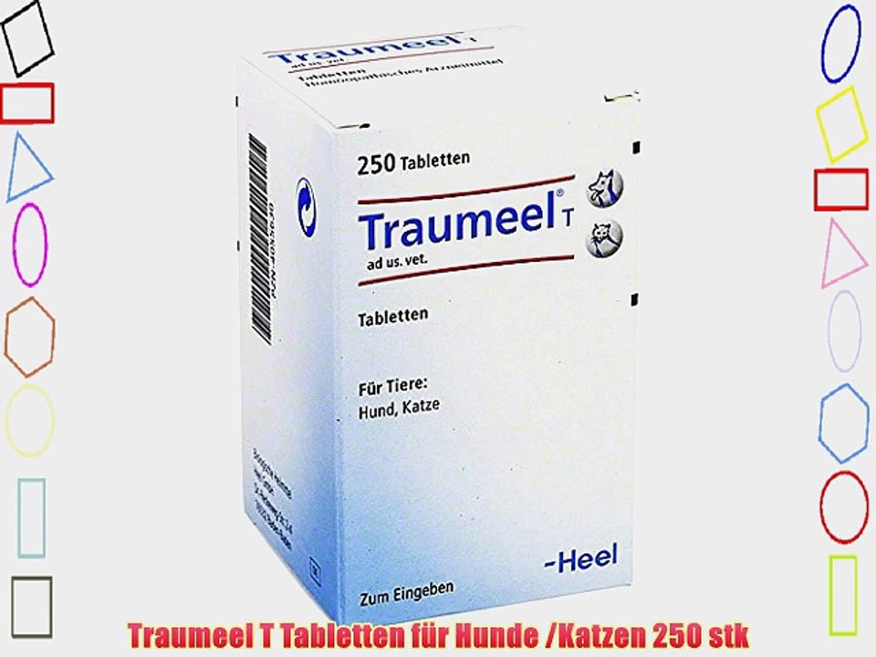 Traumeel T Tabletten f?r Hunde /Katzen 250 stk