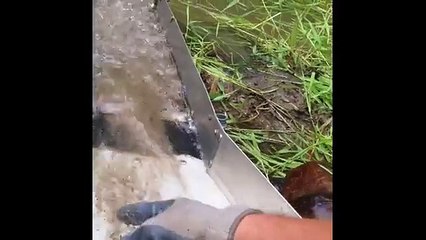 Gold prospecting, Nugget Lake Wisconsin