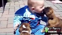 Funny Babies Video   Cute Videos,Funny Baby Laughing compilation 2015