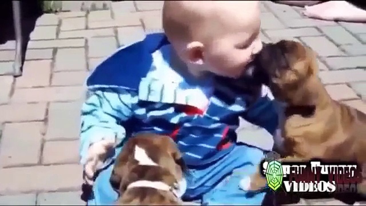 Funny Babies Video   Cute Videos,Funny Baby Laughing compilation 2015