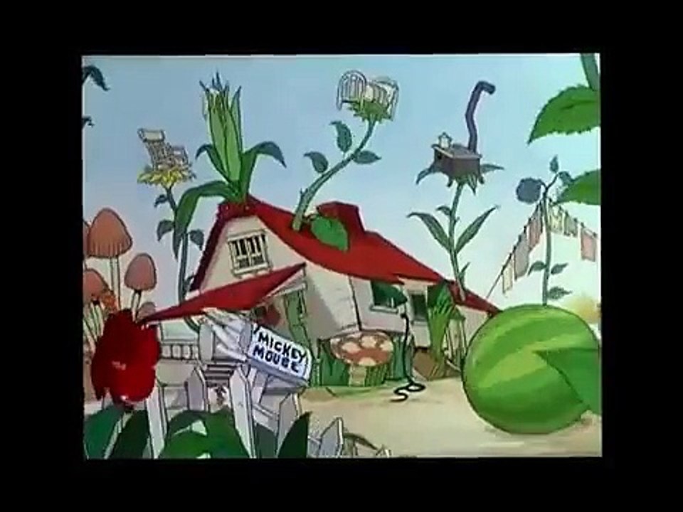 Donald Duck - Donald Duck,Pluto & Chip 'N' Dale -Cartoon Network