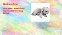 Wow Wee Labradoodle Puppy Alive Sleeping Cuties