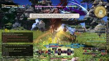 FINAL FANTASY XIV 