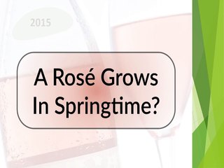 A Rosé Grows in Springtime - Randi Glazer