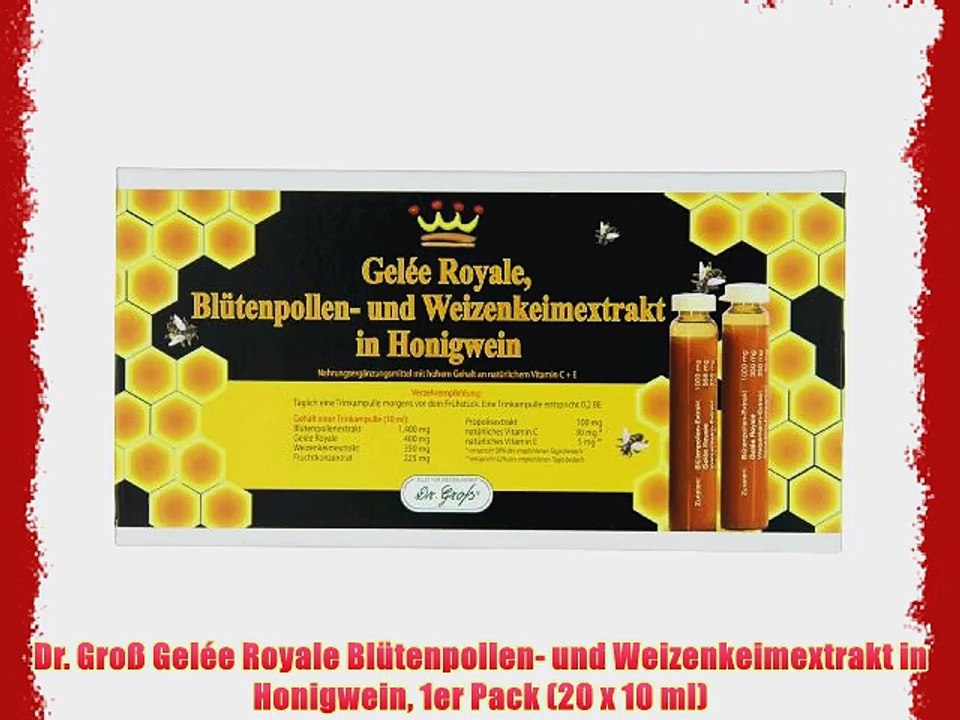 Dr. Gro? Gel?e Royale Bl?tenpollen- und Weizenkeimextrakt in Honigwein 1er Pack (20 x 10 ml)