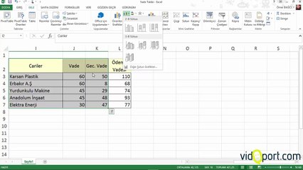 Excel- Ömer BAĞCI- Firmaların Ödeme Vadelerini Grafikleştirmek