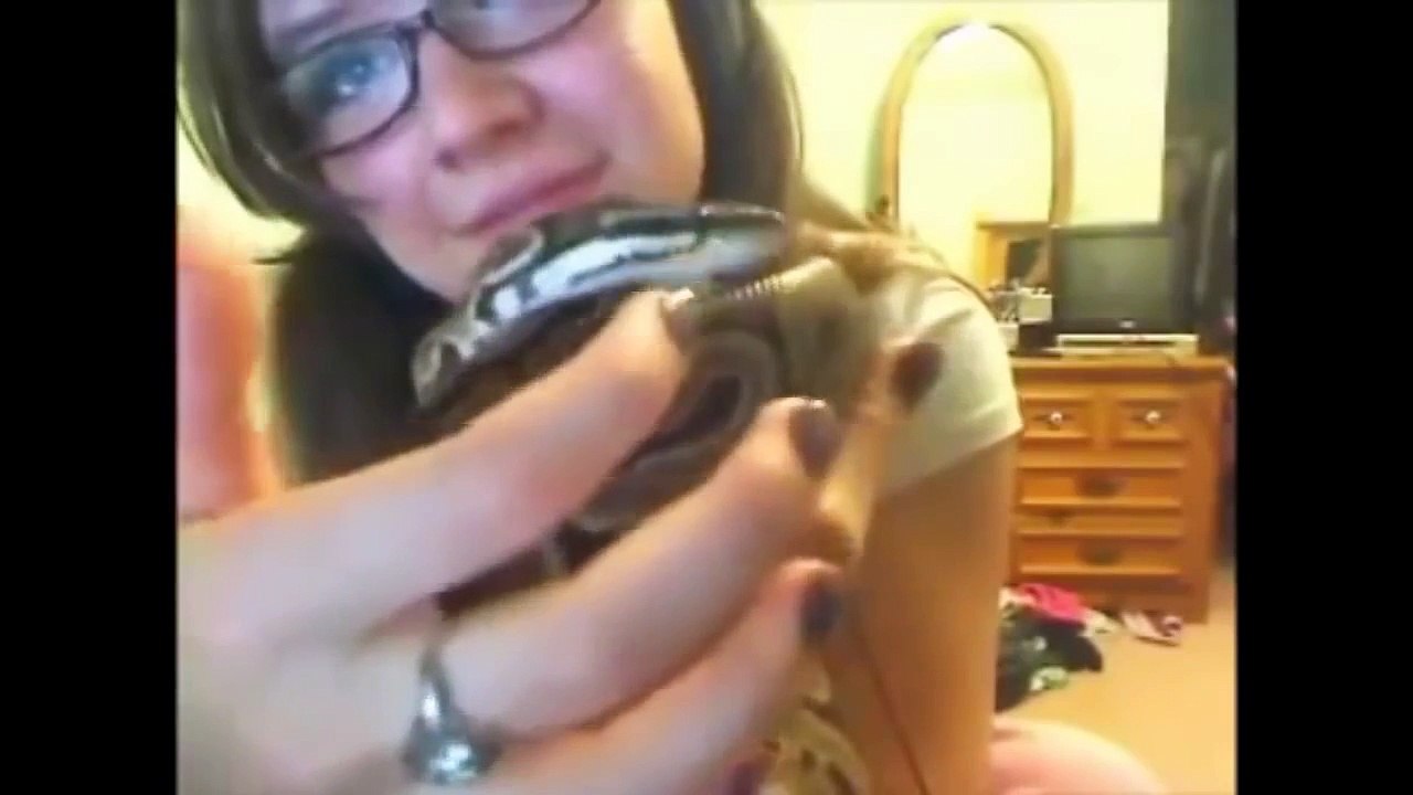 Best Funny Animals Kissing Girls