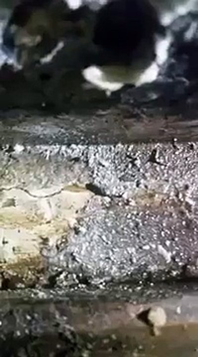Under Slab Leak Detection
