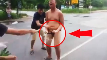 A man has the bad idea puts fire ants on his penis