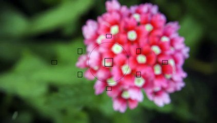 After Effects Project Files - Old Photo Camera Opener - Intro - VideoHive 7475083