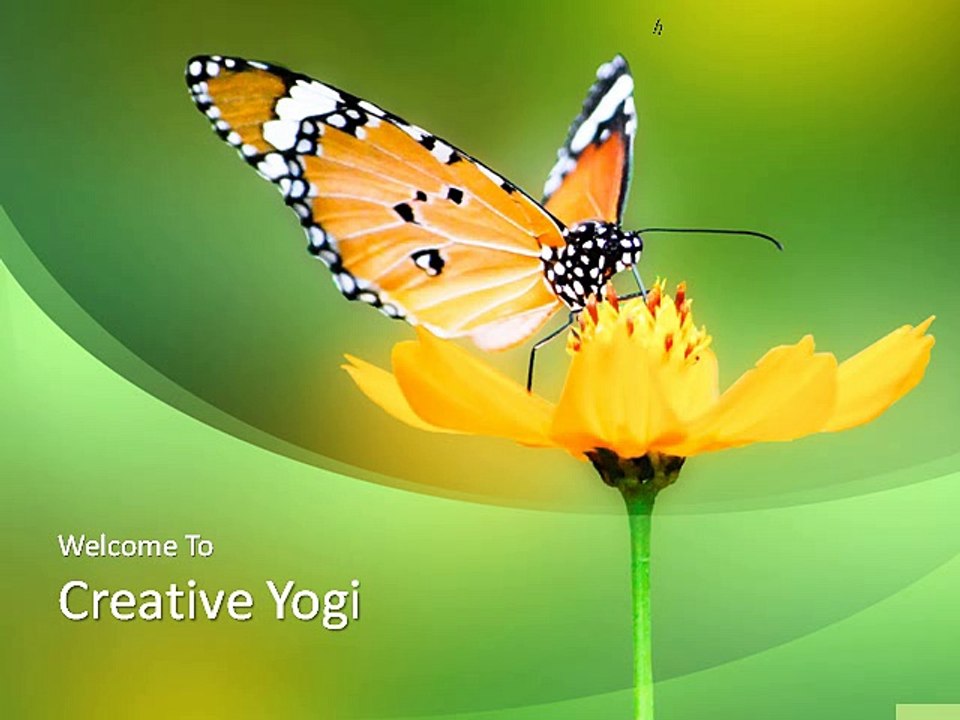 Creative Yogi
