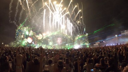 Tomorrowland 2014 as seen bij Stino