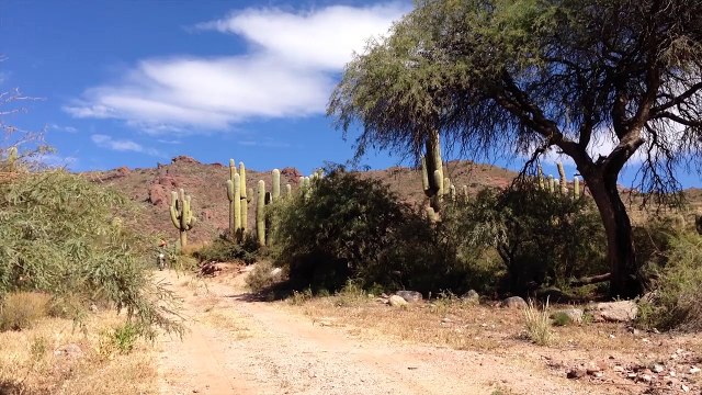 Argentine les hauts plateaux andins