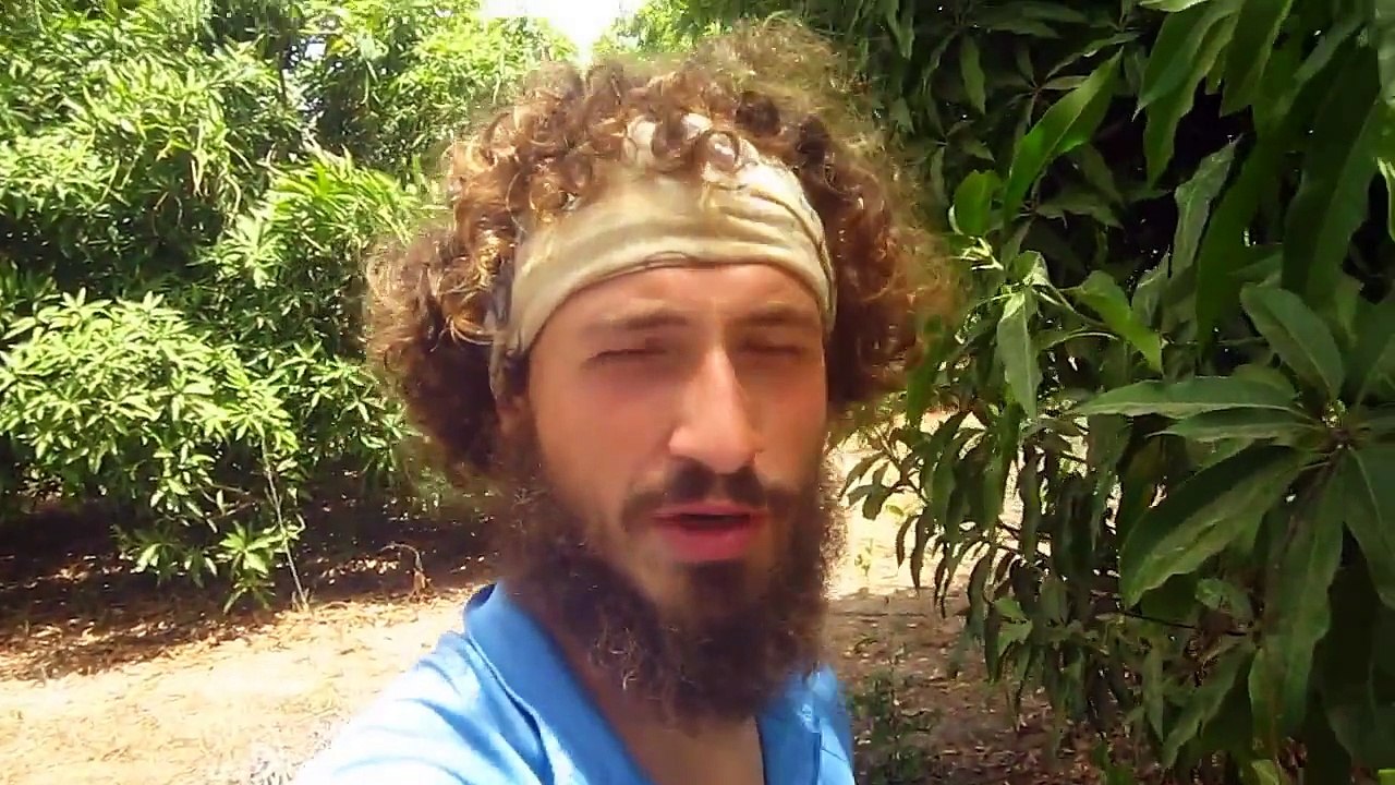 Cycling through West Africa 1/2 (Senegal, Gambia, Guinea-Bissau, Guinea)