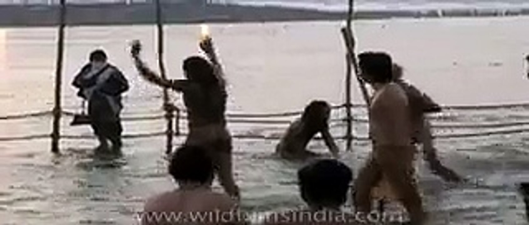 Naga sadhus have a holy bath at Ardh Kumbh Mela By Daily Fun