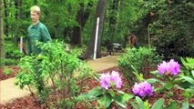 Freiwilliges Jahr in der Denkmalpflege: Gartendenkmalpflege in Südbrandenburg