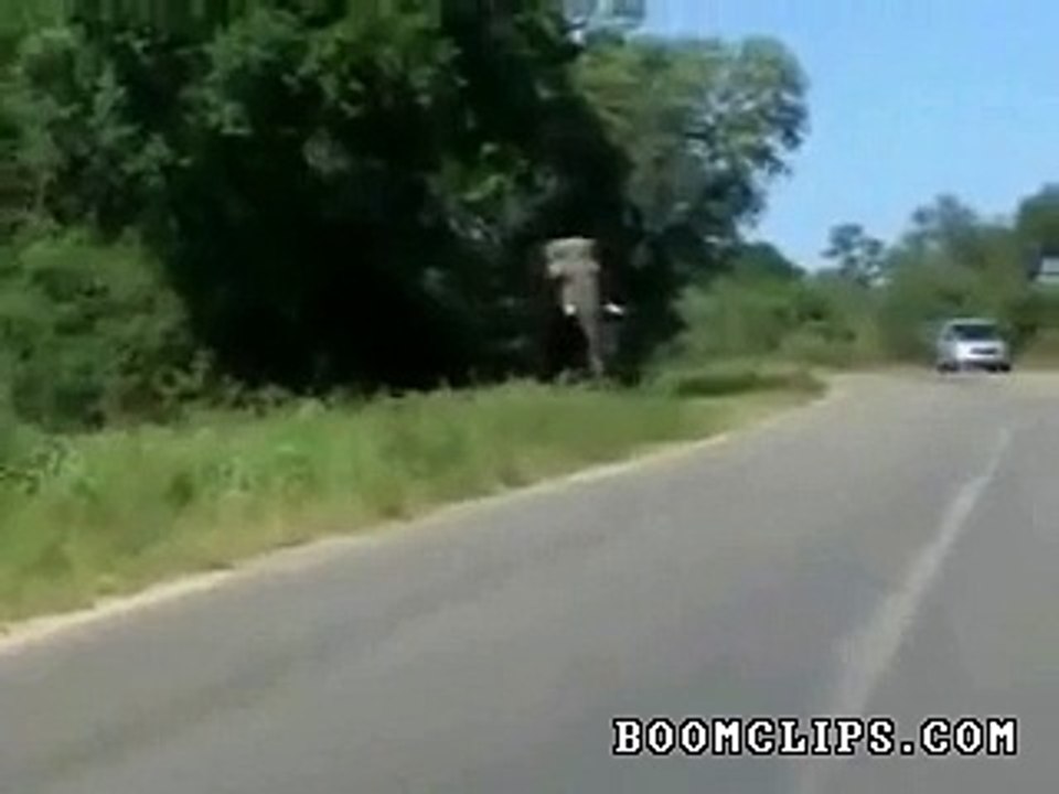 Close Encounter With an Elephant..................!!!!!!!!!!!!!!!!!!!!!!!!