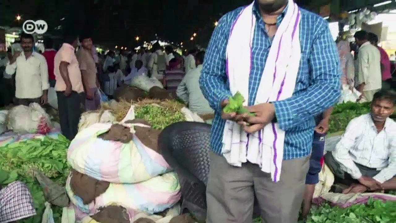 Lebensmittel für den Müll | Global 3000