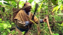 The first community forests in Gabon