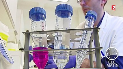 Sida : un vent d'optimisme souffle dans les laboratoires de recherches