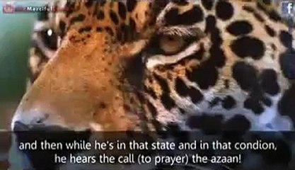 Pray until your last breath..Must watch and share this heart touching video.JAZAKALLAH..