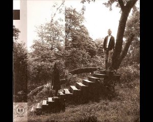 Timber Timbre - Lay Down In The Tall Grass