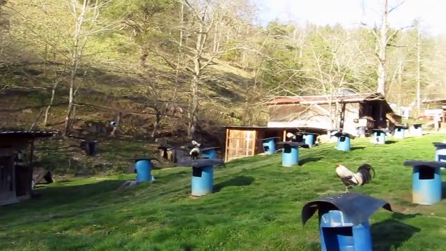 Rob Mullins Coal Dust GameFarm Visit