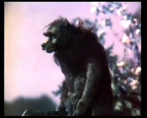 Как прекрасно светит сегодня луна