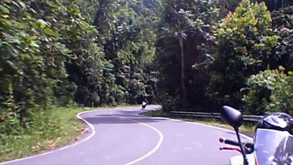 CRF250M - Khao Yai