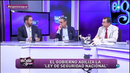 'Según la Constitución, el Gobierno podría actuar sin una comunidad autónoma daña gravemente el interés general'